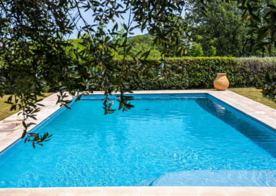 Piscine sous une journée ensoleillée, avec des branches verdoyantes au première plan
